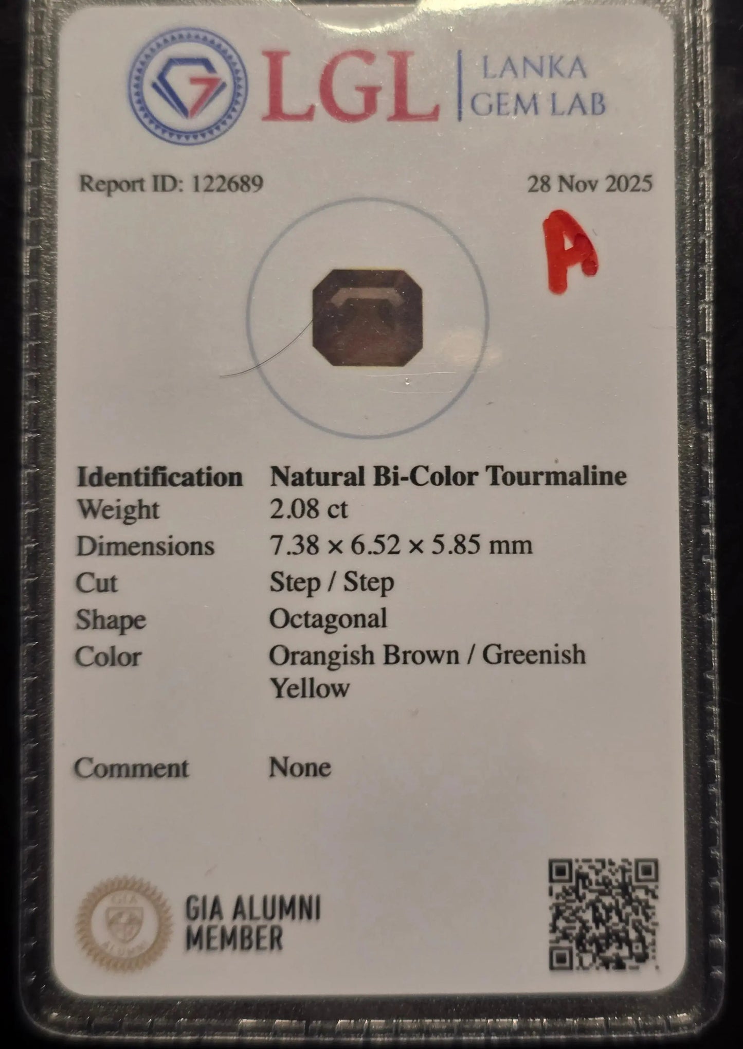 2.03 Ct Natural Bicolour Tourmaline | Octagon Cut | Unheated Sri Lankan Gemstone Lustrous Stones